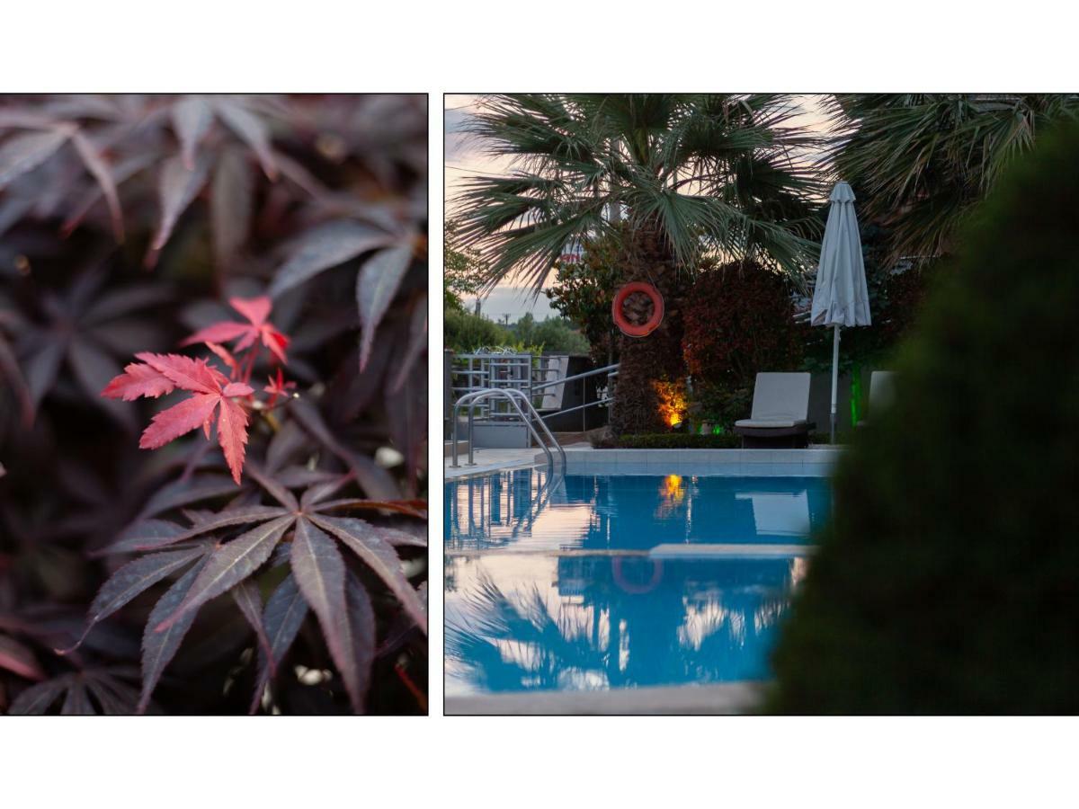 Anthodi Hotel สตาวรอส ภายนอก รูปภาพ